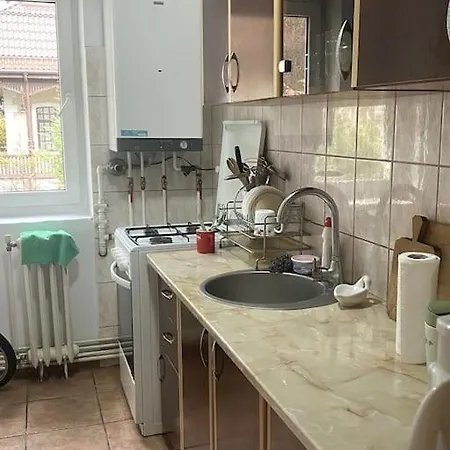 Cozy Two-bedroom * Busteni