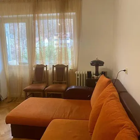 Cozy Two-bedroom Busteni